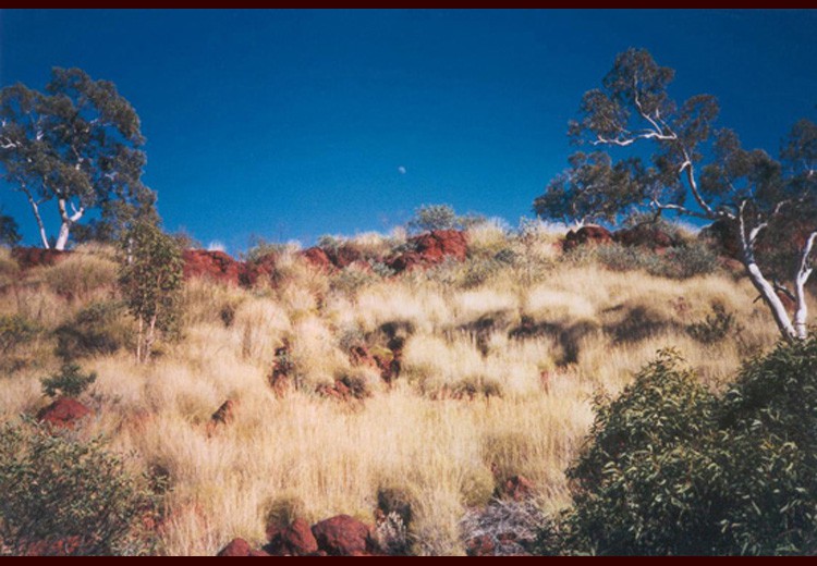 pilbara6